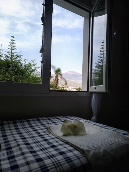 Humboldt ,island Paradise Apartment