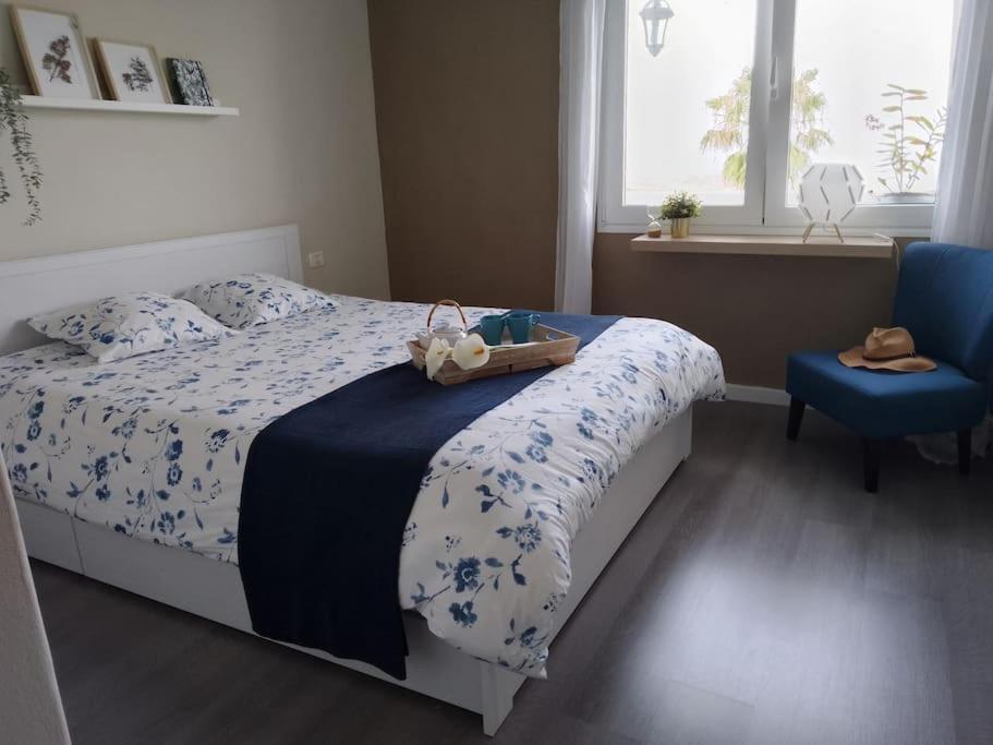 Apartment Humboldt ,island Paradise La Orotava